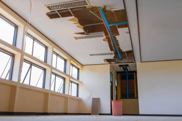 Best Water damage restoration near me  in Hudson Lake, IN