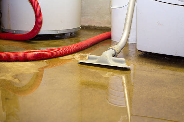 Best 24-hour water damage restoration  in Hudson Lake, IN