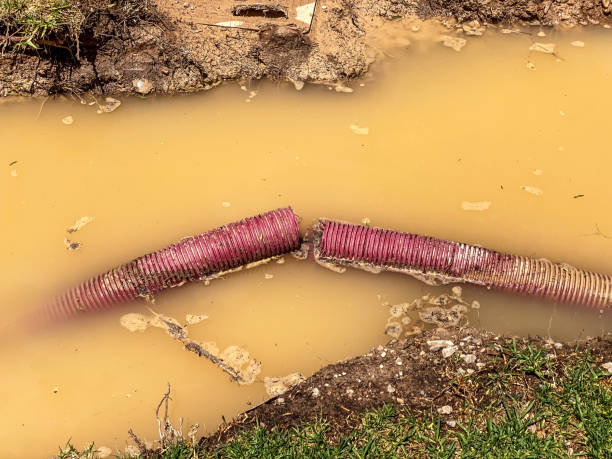 Best Basement water damage restoration  in Hudson Lake, IN